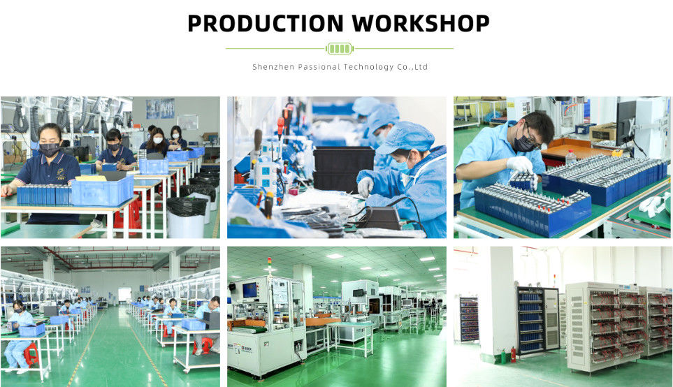 Shenzhen Passional Technology Co.,Ltd